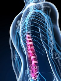 Spinal Cord Injury
