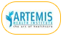 Artemis Hospital
